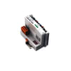 Miniatuur 1