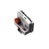 Miniatuur 1