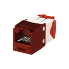 Panduit - Modulaire connector pan cj utp 5e tg or