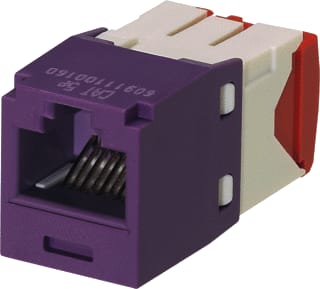 Panduit - Modulaire connector cj cat5e rj45 violet