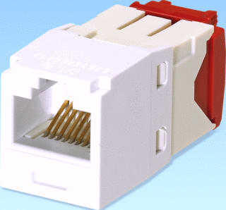 Panduit - Modulaire connector Cj Cat5E Rj45 Witgd