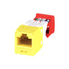 Miniatuur 1