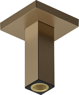 Hansgrohe - E Douche-aansluitstuk Douchearm 100Mm Bbr