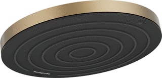 Hansgrohe - Pulsify S Douchekop Puls S Hoofdd 260 Es Bbr