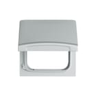 ABB Busch-Jaeger - Allw. 44 Overgangsafdekplaat schakelmat. Overg.Pl 2118Gk-34 A A44 Xd