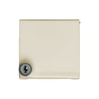 ABB Busch-Jaeger - Allw. 44 Overgangsafdekplaat schakelmat. Klapd+Slot 2118Gksl-32 A44