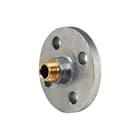 RBM - 120 Vaste flens Dr/Fl Me/Vern Pn10/16 21/2