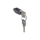 Legrand - Altis Deursluiting voor kast/lessenaar Cilinder Ronis 1242