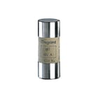 Legrand - LEXIC Cilindrische zekering Ind.Zekering 100A 22X58Mm