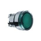 Schneider Electric - Harmony XB4 Drukknop frontelement Signdrknp Zb4Bw333 Groen