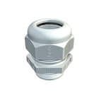 OBO - V-TEC Wartel kabel-/buisinvoer Wartel Pg36 Sgr