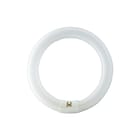 Philips - Master TL-E Circular Super 80 TL-buis Fluor Lamp Tle 32W 840