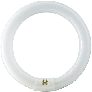 Philips - Master TL-E Circular Super 80 TL-buis Fluor Lamp Tle 40W 830