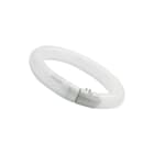 Sylvania - Circline T9 TL-buis fc40/840