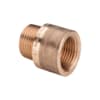 Miniatuur 1