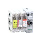 Schneider Electric - Veilighedenlastscheider Lastsch. 3P. 50A Ext Fr