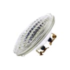 Bailey - Studio-, projectie- en fotolamp par36 screw t.12v 25w wfl