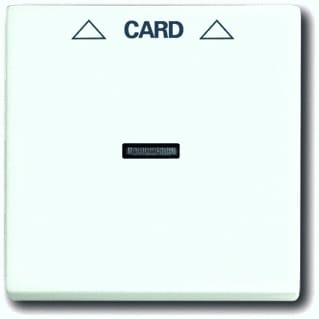 ABB Busch-Jaeger - Future Bed.element / centr.pl. schakelmat. Cpl Card-Schk Matwt