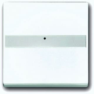 ABB Busch-Jaeger - Future Bed.element / centr.pl. schakelmat. Wip Tkst Krs Pls Wt