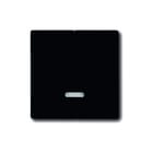 ABB Busch-Jaeger - Future, Axcent, Carat Bed.element / centr.pl. schakelmat. Toets Dim 6565U Zw