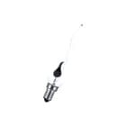 Calex - Neon Special Gloeilamp standaard bail gllmpzr 40200827324