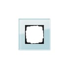 Gira - Esprit Afdekraam schakelmateriaal Afdkrm 1V Esprt Glas Mint