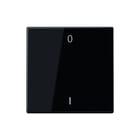 Jung - Zender/AB v draadloos schakelsyst. Eno Znder Ls990.2-Kan.Sym