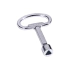 Rittal - SZ Sleutel voor kast/lessenaar 3 Kantsleut 8Mm Sz2546000