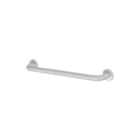 Delabie - Basic Handgreep aangepast sanitair Wandbeug D32 50Cm Wit
