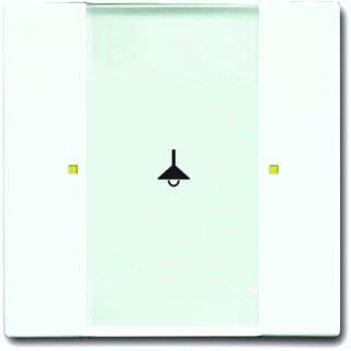 ABB Busch-Jaeger - KNX, Future Tastsensor bussysteem Knx Sen Multifun 1/2V Mwit