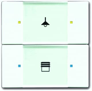 ABB Busch-Jaeger - KNX, Future Tastsensor bussysteem Knx Sen Multifun 2/4V Mwit