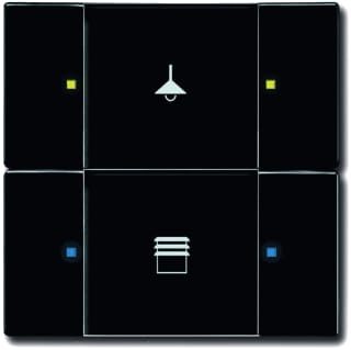 ABB Busch-Jaeger - KNX, Future, Carat Tastsensor bussysteem knx sen multifun 2/4v ant