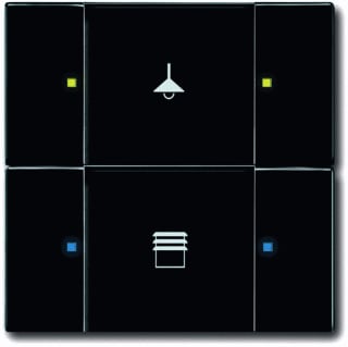 ABB Busch-Jaeger - KNX, Future Tastsensor bussysteem Knx Sen Multifun 2/4V Matzw