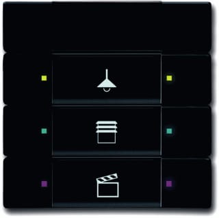 ABB Busch-Jaeger - KNX, Future Tastsensor bussysteem knx ir intf + 3v f-matzw