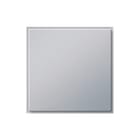 Gira - TX44 Bed.element / centr.pl. schakelmat. Inzetpl Blind Alu