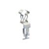 Miniatuur 1