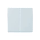 ABB Busch-Jaeger - Future, Solo, Axcent, Carat Bed.element / centr.pl. schakelmat. Wip 2X 1785-84 Wt