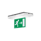 Eaton Blessing - Skopos Noodverlichtingsarmatuur noodverli blk 1425-d-at