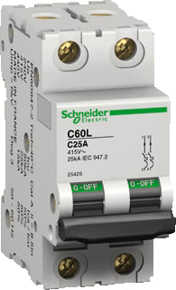 Schneider Electric Merlin Gerin - C60 L Installatieautomaat autom 25ka c60l 3a-c 2p