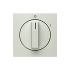 Hager Berker - S.1/B.3/B.7 Bed.element / centr.pl. schakelmat. 11501909 Wt
