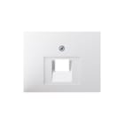 Hager Berker - K.1/K.5 Inzetplaat schakelmateriaal Centrst Uae-Wcd Pwi Gl.K1