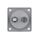 Hager Berker - Antennecontactdoos 945602506