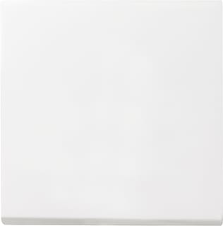Gira - Systeem 55 OUD Bed.element / centr.pl. schakelmat. Wipvlakpl Wt Zwg
