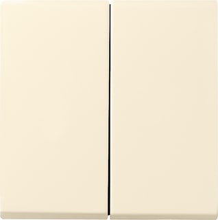 Gira - Systeem 55 OUD Bed.element / centr.pl. schakelmat. Wipvlakpl Cr 55