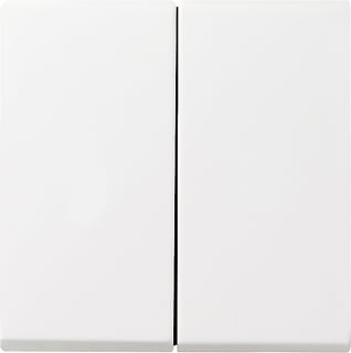 Gira - Systeem 55 OUD Bed.element / centr.pl. schakelmat. Wipvlakpl Zwg 55