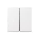 Gira - Systeem 55 OUD Bed.element / centr.pl. schakelmat. Wipvlakpl Zwg 55
