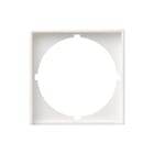 Gira - Systeem 55 Overgangsafdekplaat schakelmat. Inzpl 50X50Mm Rond Zwg 55