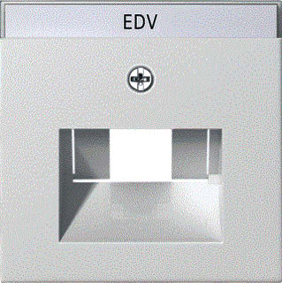 Gira - Systeem 55 Inzetplaat schakelmateriaal Pl 1/2Xmj Uae Tk Zwg 55
