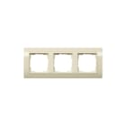 Gira - Standaard 55 Afdekraam schakelmateriaal Afdkrm 3V St55 Breed Cwg