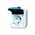 ABB Busch-Jaeger - Ocean Wandcontactdoos (WCD schakelmat.) Wcd Ra Kd 20Ew-53-503 Oce